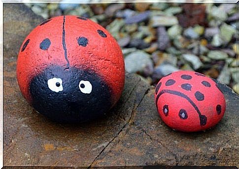 5 x crafts with painted stones