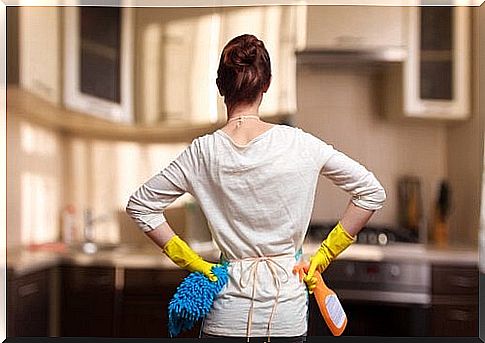 A mother's day at work: cleaning the house