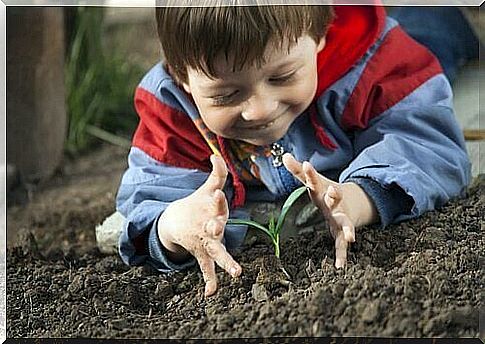 Child with a young plant has so contact with nature