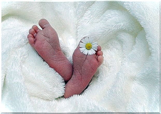 Newborn Babies - Some Things It's Important To Know