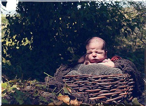 Baby in a basket