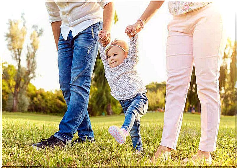 A toddler learning to walk holds the hands of her mother and father.