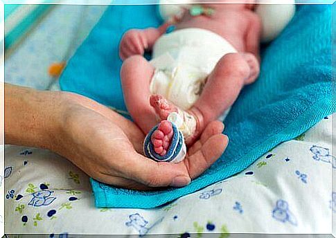 A very small premature baby