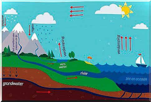 The water cycle: how do you explain it to children?