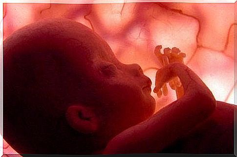 Fetus does not grow in molar pregnancy